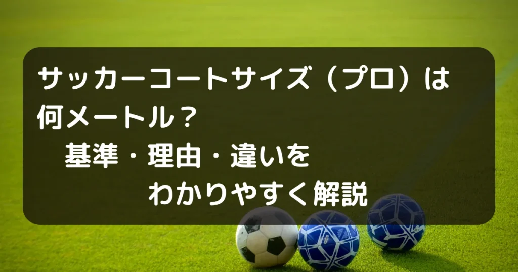 サッカーコートの大きさキャッチアイ